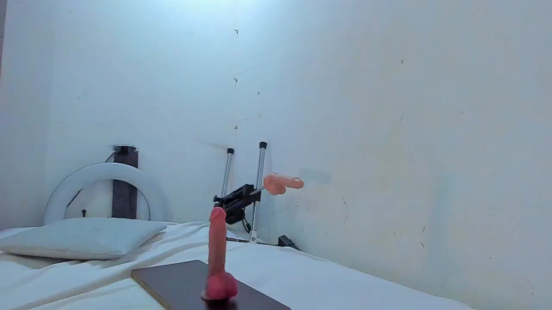 Gallery image thumbnail from SweetNinotCHk's myfreecams stream on, 01/25/2026, 16:37 image 12 of 20