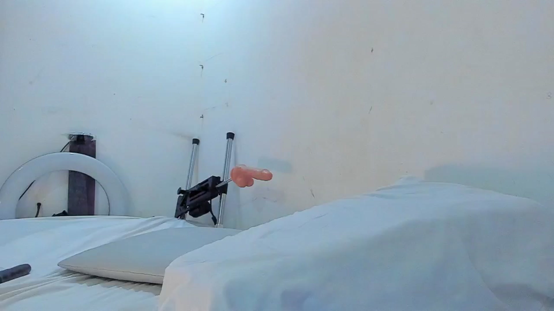 Gallery image thumbnail from SweetNinotCHk's myfreecams stream on, 01/27/2026, 23:03 image 14 of 20