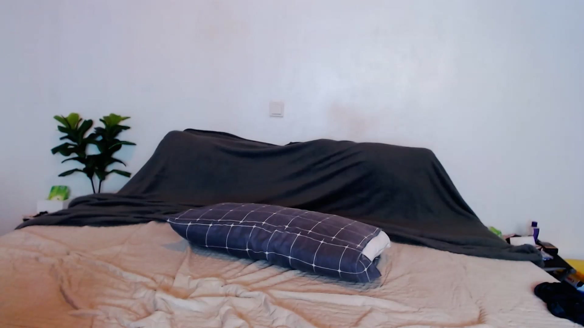 Gallery image thumbnail from SweetOne_4u's myfreecams stream on, 09/06/2023, 22:56 image 18 of 20