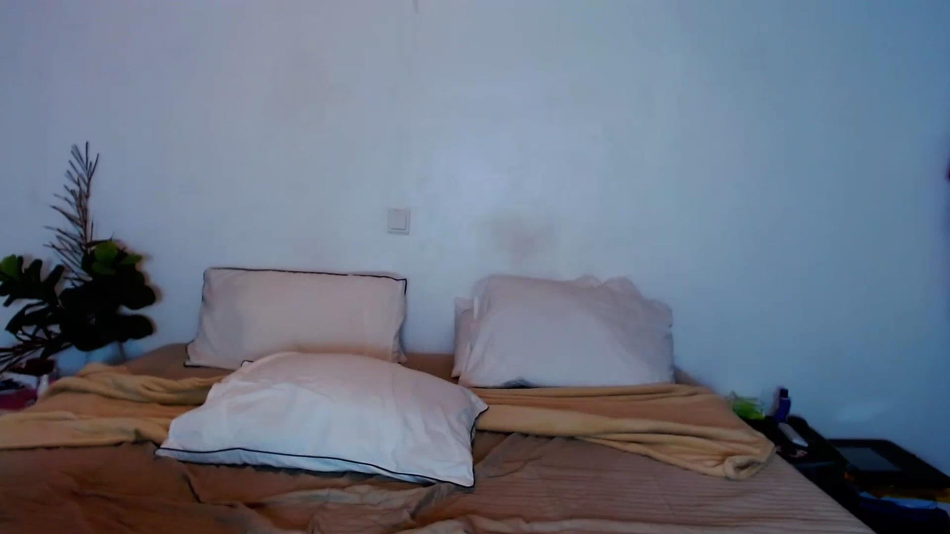 Gallery image thumbnail from SweetOne_4u's myfreecams stream on, 09/22/2023, 23:54 image 19 of 20