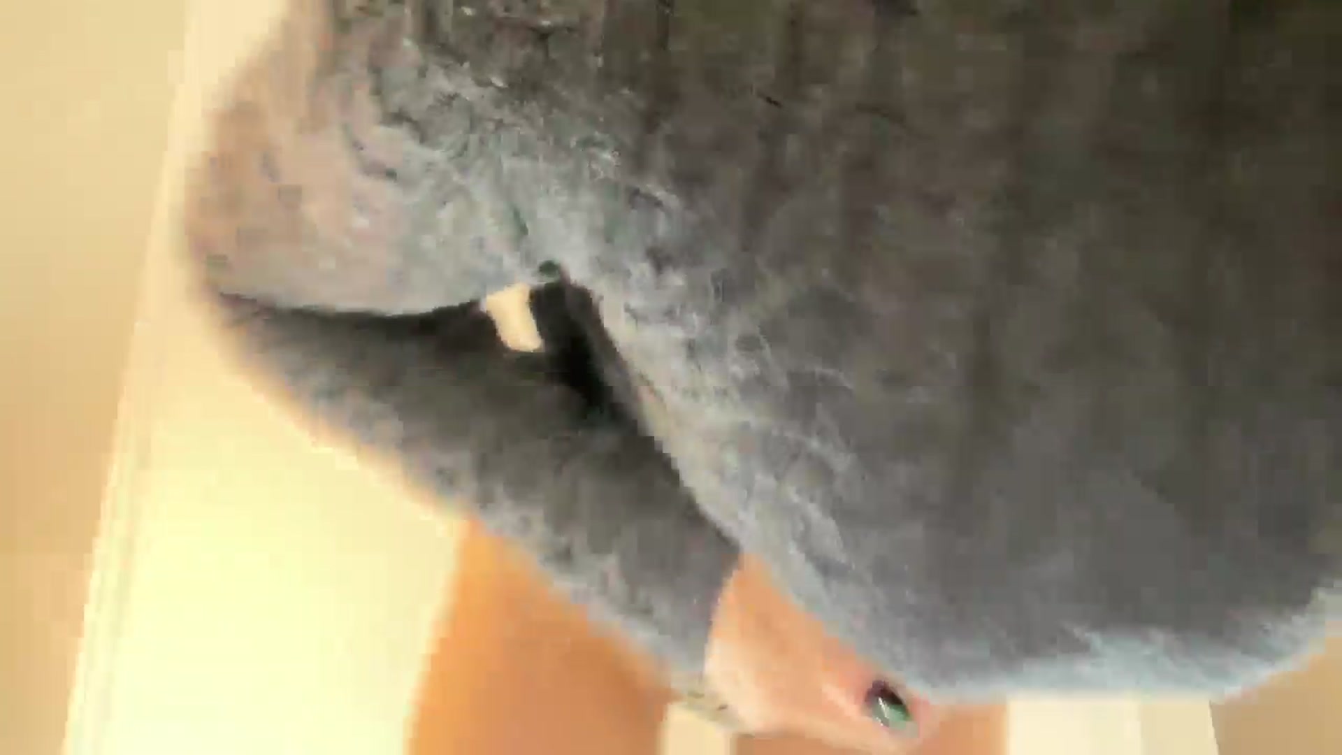 Gallery image thumbnail from SweetTits20's myfreecams stream on, 01/12/2025, 09:15 image 8 of 20