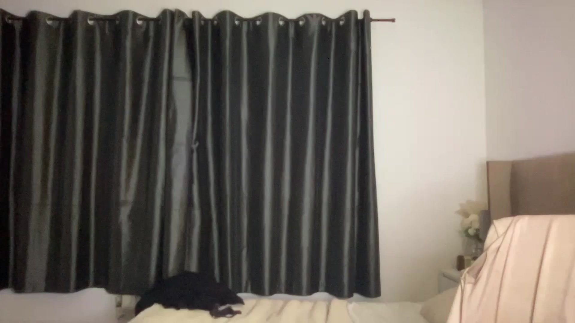 Gallery image thumbnail from SweetXEbony1's myfreecams stream on, 01/31/2024, 17:15 image 17 of 20