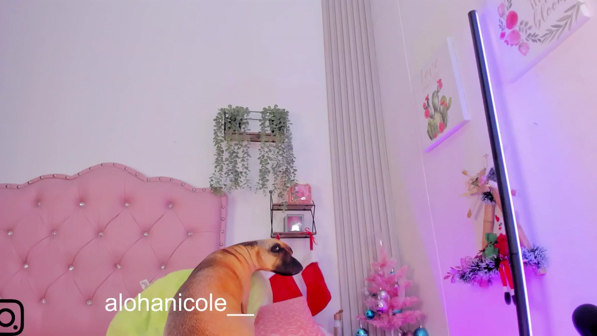 Gallery image thumbnail from Sweet_Karen_'s myfreecams stream on, 12/25/2024, 16:58 image 15 of 20