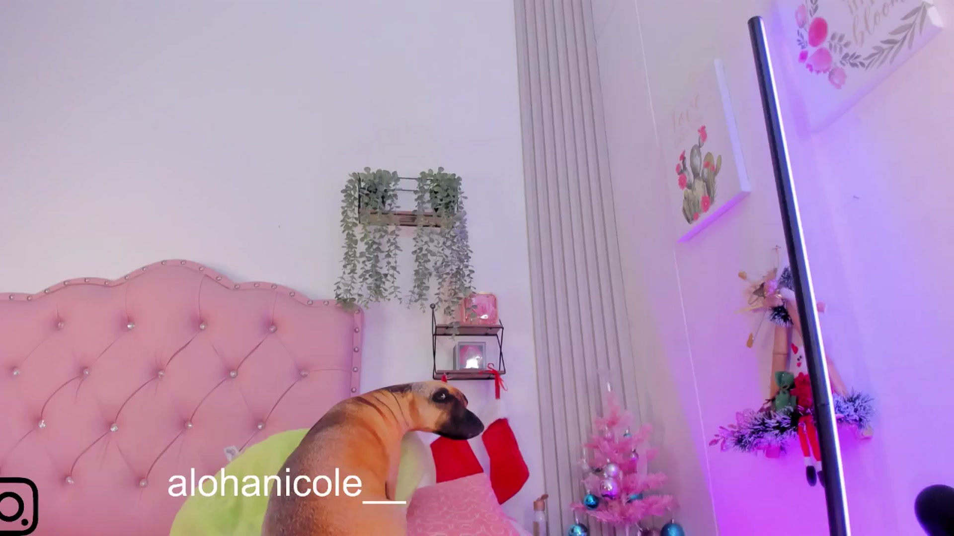 Gallery image thumbnail from Sweet_Karen_'s myfreecams stream on, 12/25/2024, 16:58 image 16 of 20