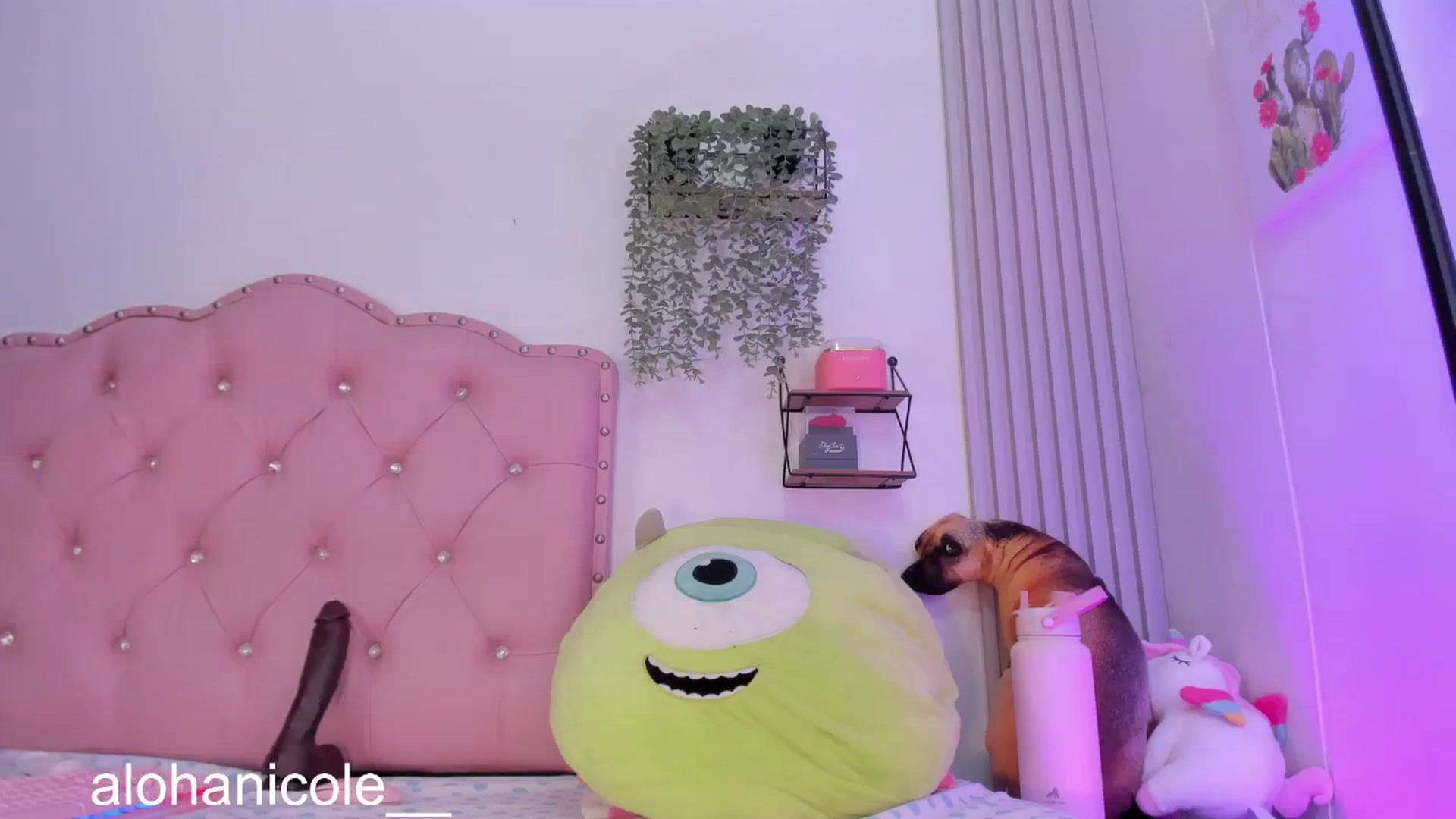 Gallery image thumbnail from Sweet_Karen_'s myfreecams stream on, 03/09/2025, 13:48 image 6 of 20