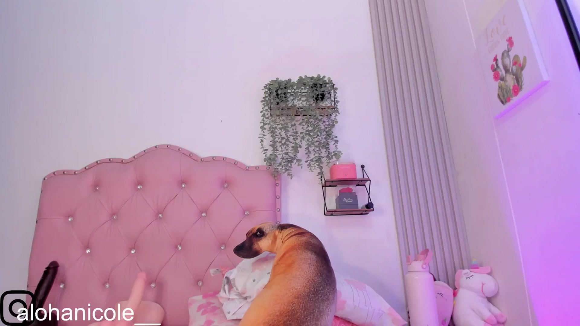 Gallery image thumbnail from Sweet_Karen_'s myfreecams stream on, 03/23/2025, 14:21 image 15 of 20