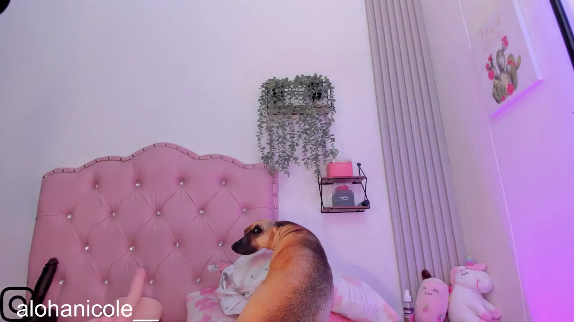 Gallery image thumbnail from Sweet_Karen_'s myfreecams stream on, 03/23/2025, 14:21 image 18 of 20
