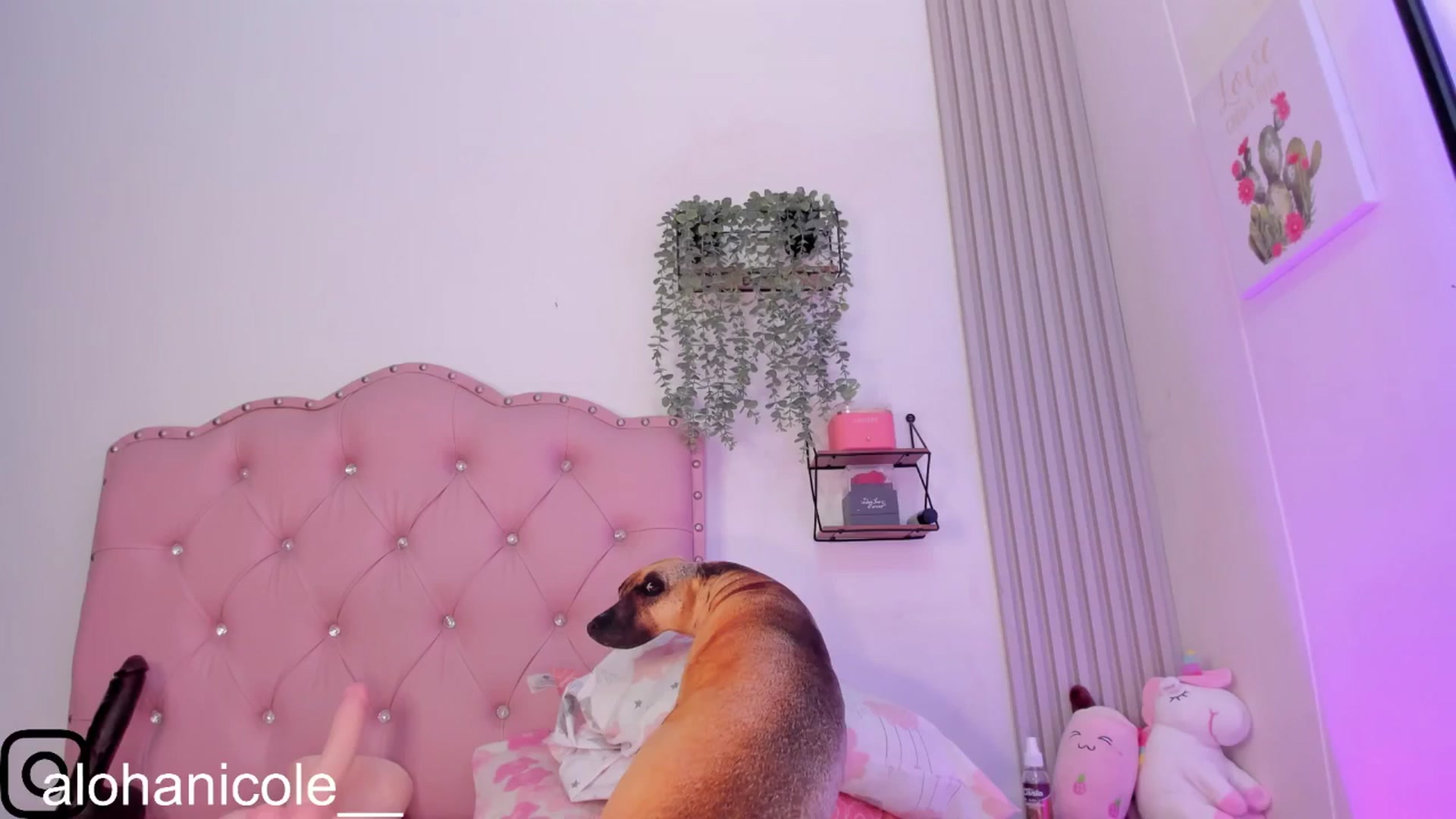 Gallery image thumbnail from Sweet_Karen_'s myfreecams stream on, 03/23/2025, 14:21 image 17 of 20