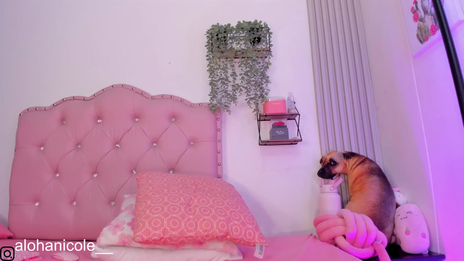 Gallery image thumbnail from Sweet_Karen_'s myfreecams stream on, 04/20/2025, 09:36 image 17 of 20
