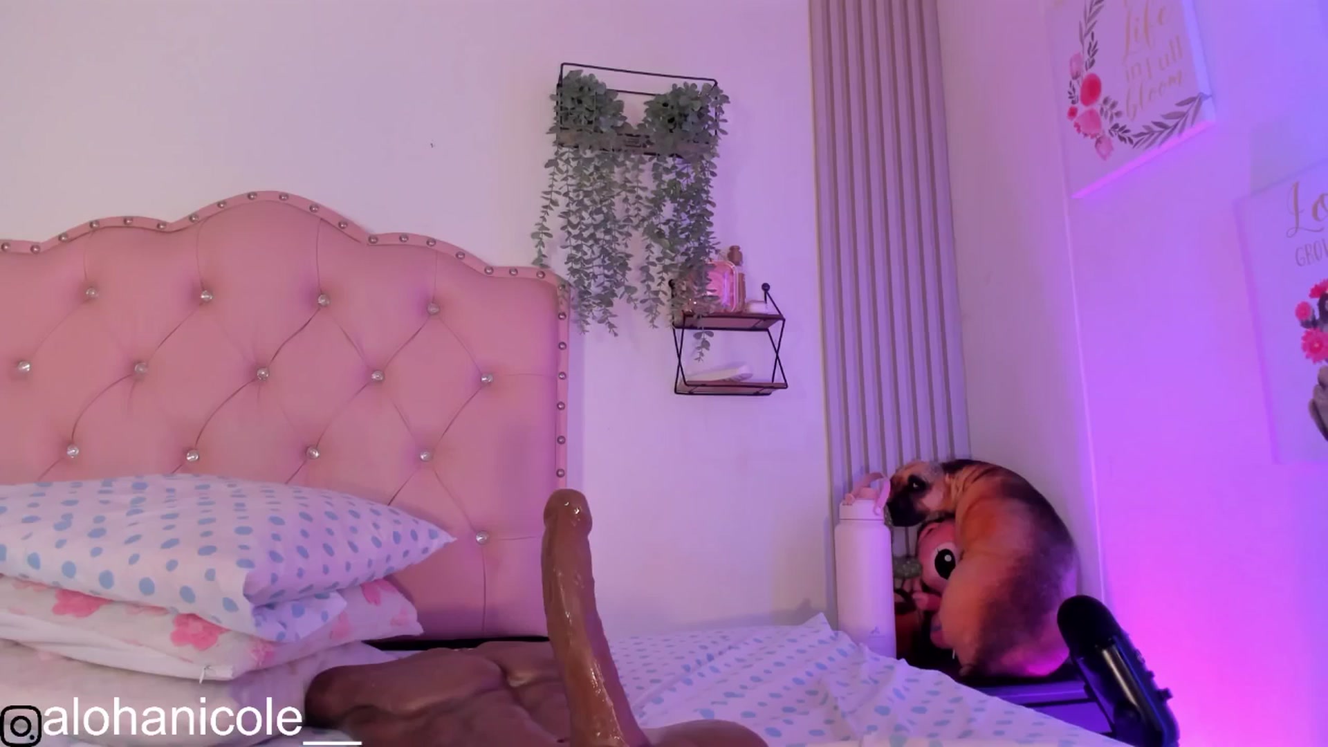 Gallery image thumbnail from Sweet_Karen_'s myfreecams stream on, 09/21/2025, 14:19 image 11 of 20