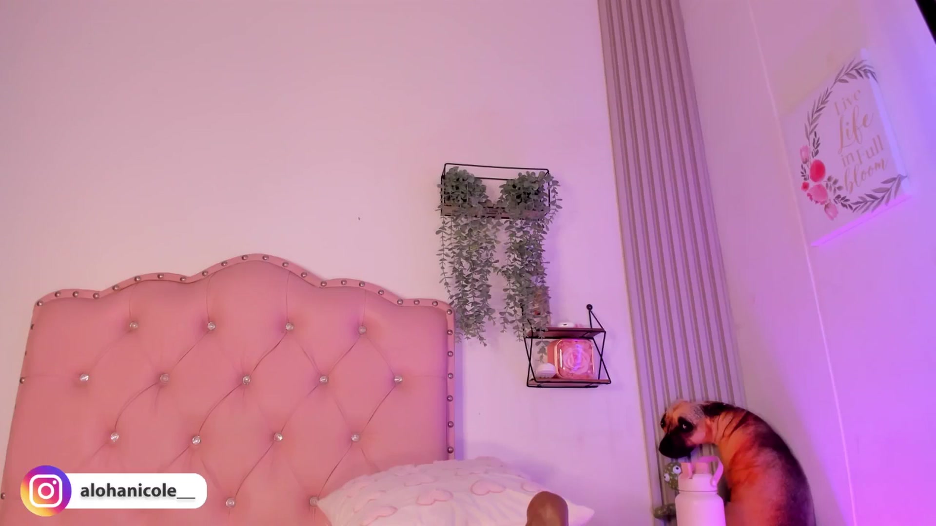 Gallery image thumbnail from Sweet_Karen_'s myfreecams stream on, 10/12/2025, 13:00 image 13 of 20
