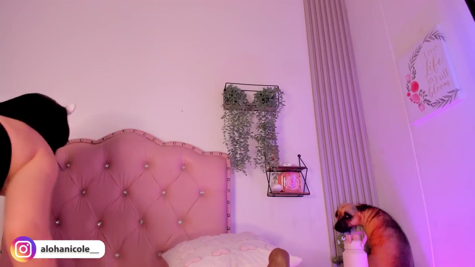 Gallery image thumbnail from Sweet_Karen_'s myfreecams stream on, 10/12/2025, 13:00 image 14 of 20