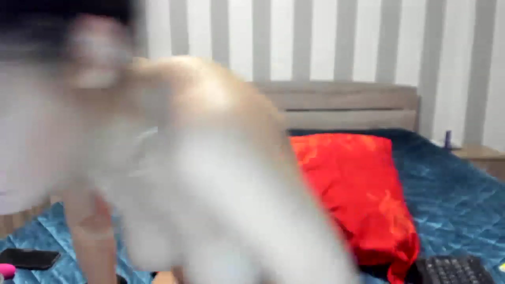 Gallery image thumbnail from Sweet__Alexa's myfreecams stream on, 02/12/2023, 21:38 image 16 of 20