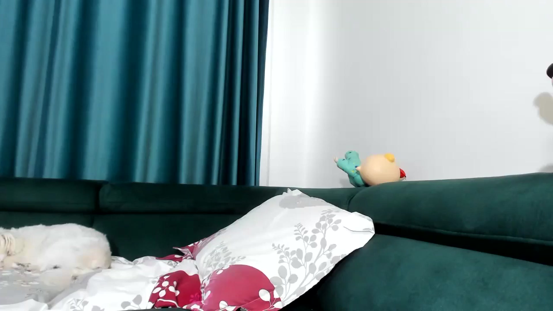 Gallery image thumbnail from Sweet__Alexa's myfreecams stream on, 10/25/2025, 14:17 image 10 of 20