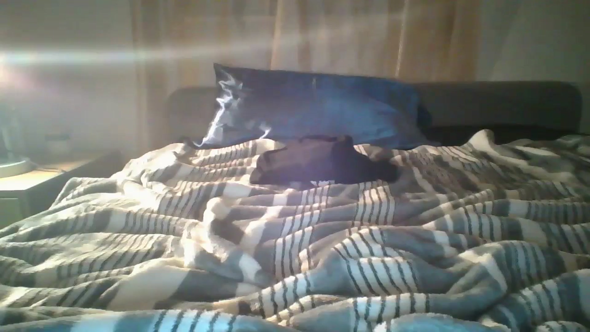 Gallery image thumbnail from Sweet_tartxo's myfreecams stream on, 07/11/2023, 09:35 image 6 of 20