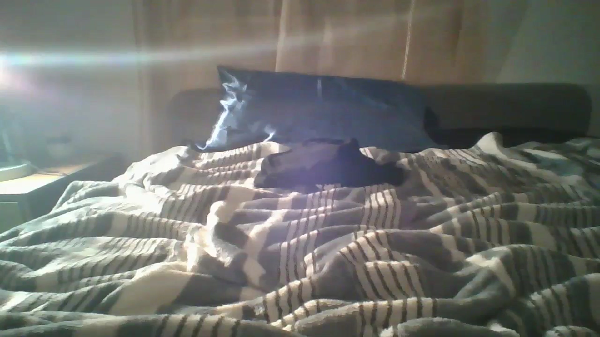 Gallery image thumbnail from Sweet_tartxo's myfreecams stream on, 07/11/2023, 09:35 image 8 of 20