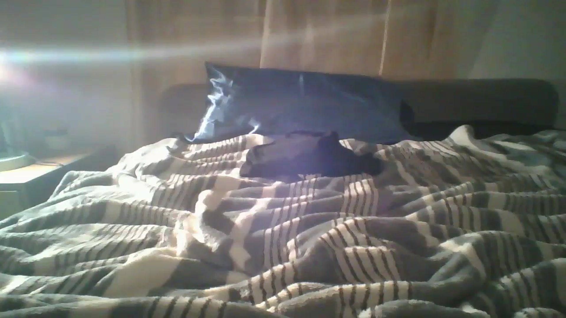 Gallery image thumbnail from Sweet_tartxo's myfreecams stream on, 07/11/2023, 09:35 image 9 of 20