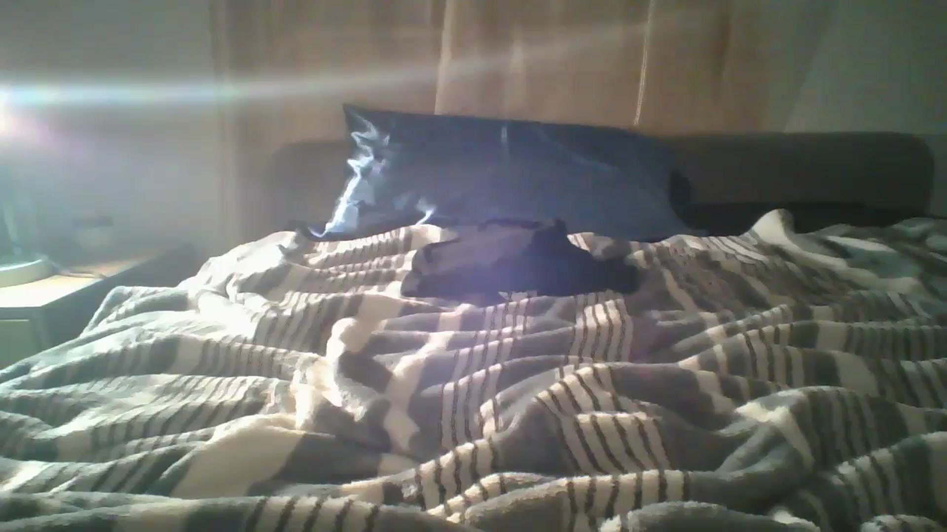 Gallery image thumbnail from Sweet_tartxo's myfreecams stream on, 07/11/2023, 09:35 image 10 of 20