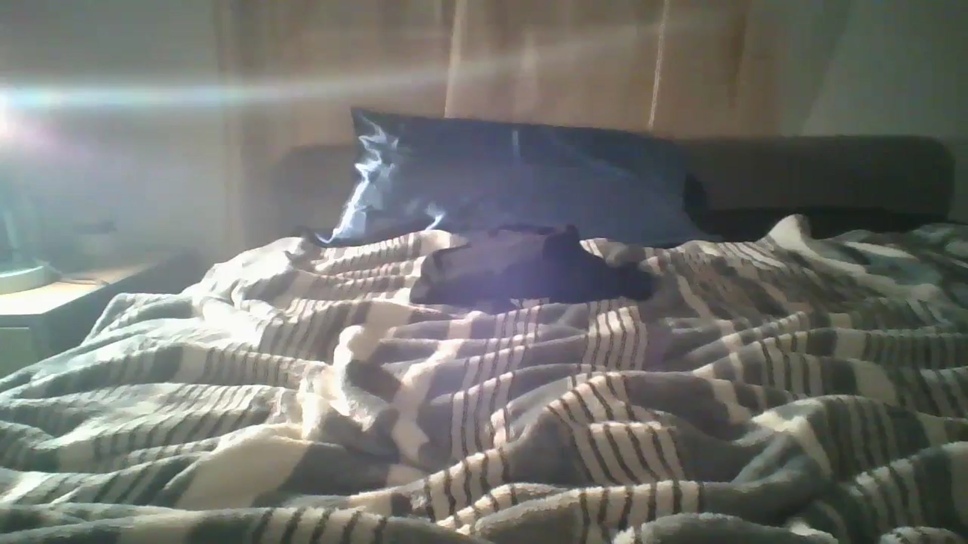Gallery image thumbnail from Sweet_tartxo's myfreecams stream on, 07/11/2023, 09:35 image 12 of 20