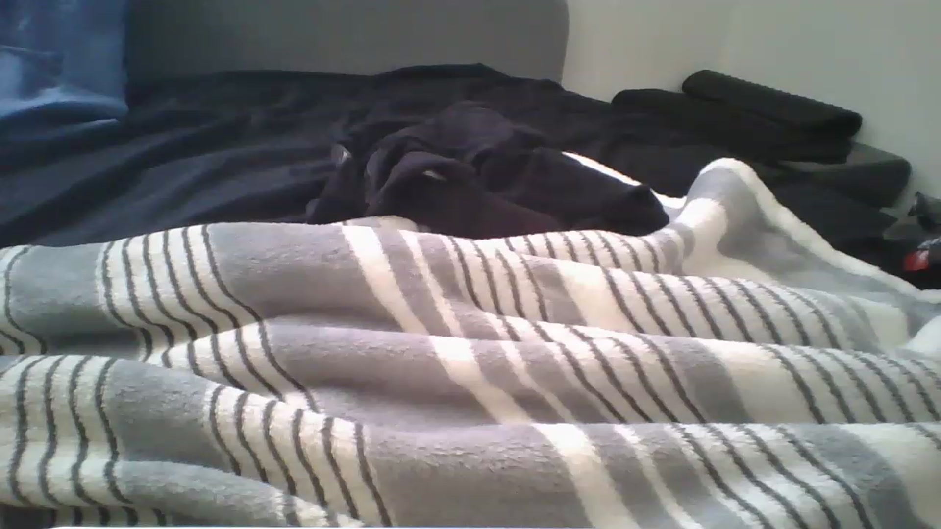 Gallery image thumbnail from Sweet_tartxo's myfreecams stream on, 07/12/2023, 15:06 image 16 of 20