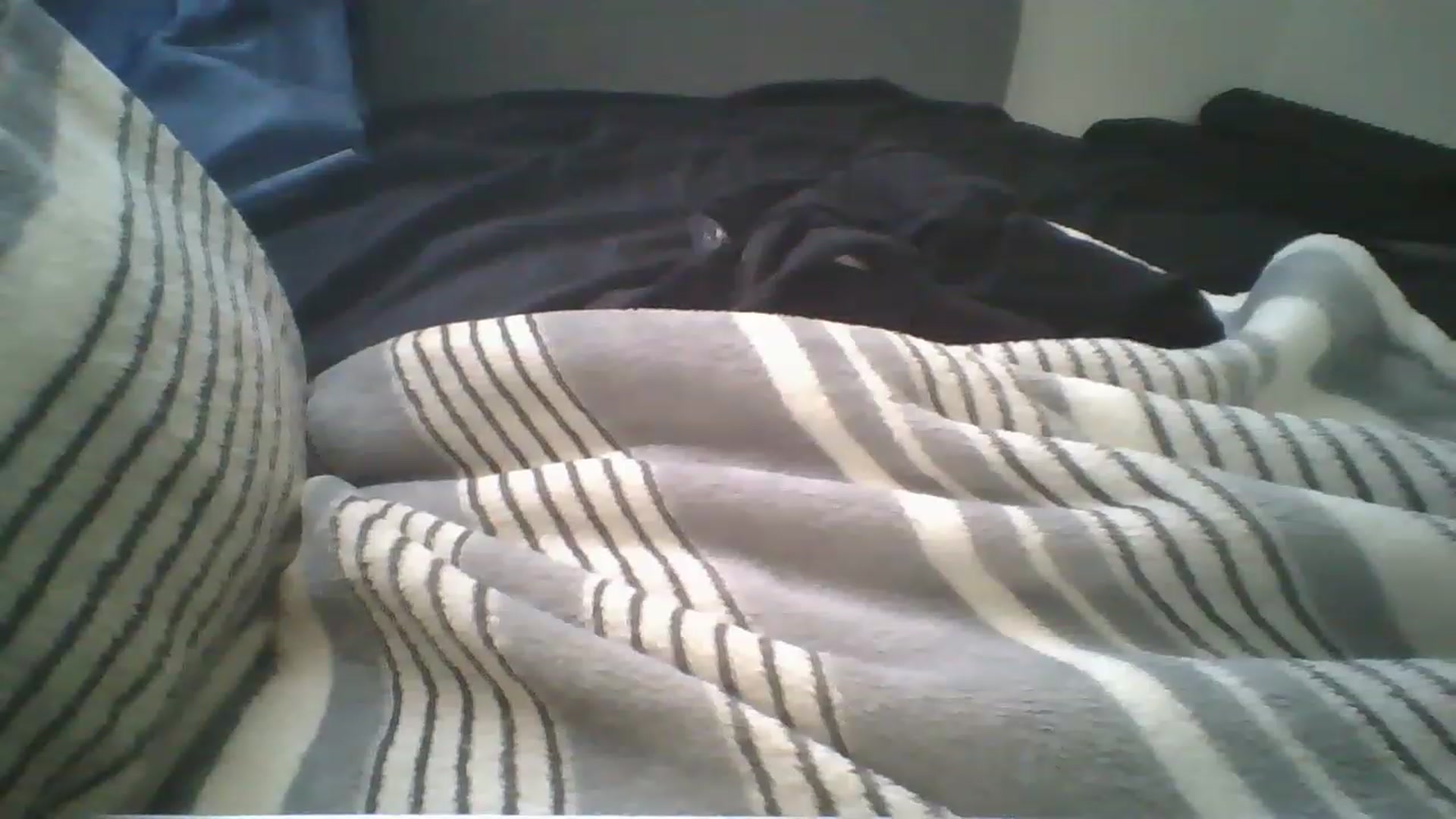 Gallery image thumbnail from Sweet_tartxo's myfreecams stream on, 07/12/2023, 15:06 image 5 of 20