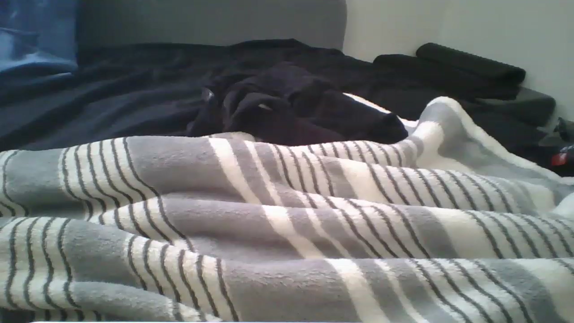 Gallery image thumbnail from Sweet_tartxo's myfreecams stream on, 07/12/2023, 15:06 image 17 of 20