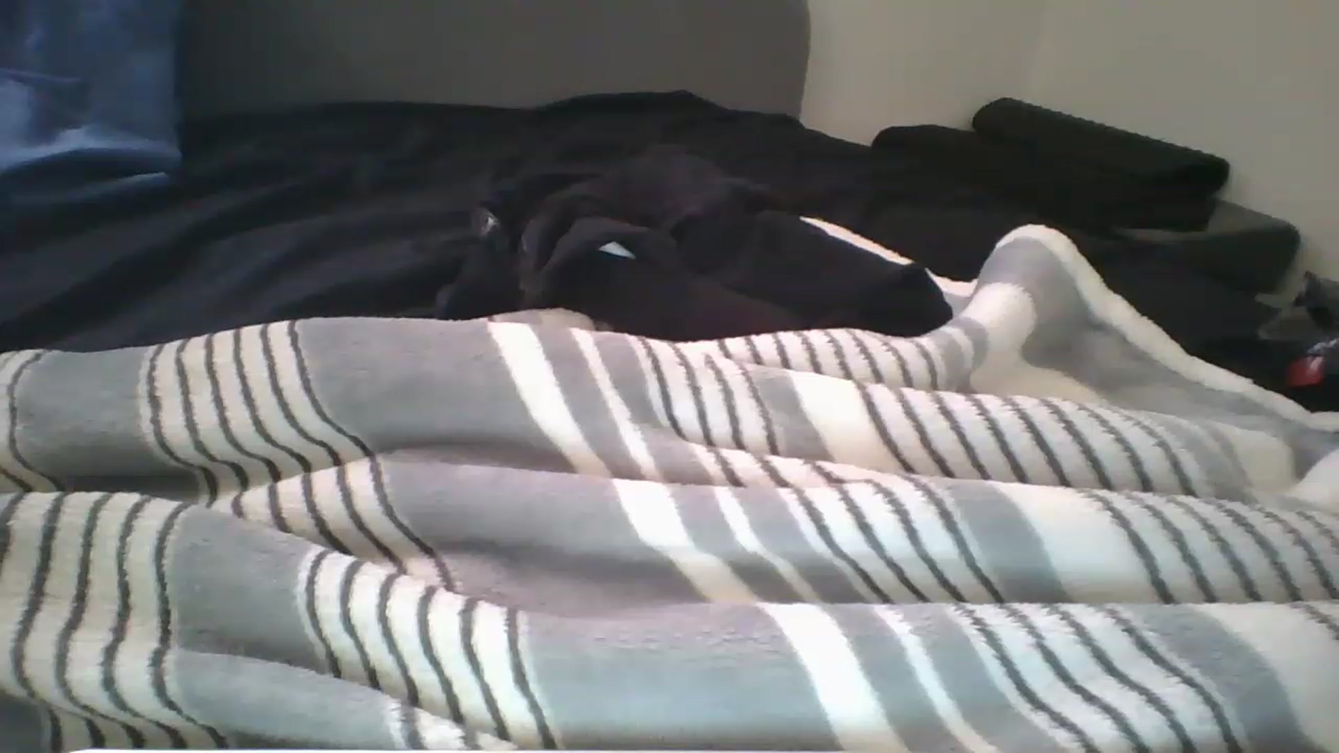 Gallery image thumbnail from Sweet_tartxo's myfreecams stream on, 07/12/2023, 15:06 image 14 of 20