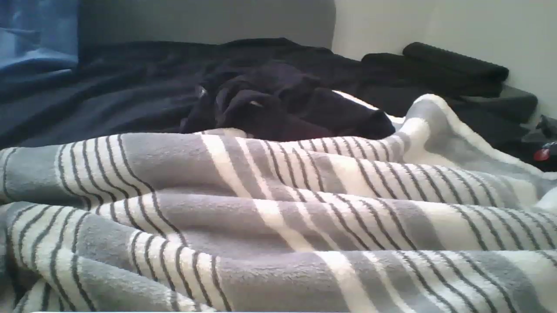 Gallery image thumbnail from Sweet_tartxo's myfreecams stream on, 07/12/2023, 15:06 image 20 of 20