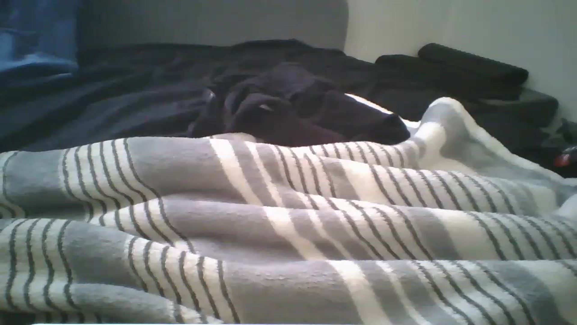 Gallery image thumbnail from Sweet_tartxo's myfreecams stream on, 07/12/2023, 15:06 image 19 of 20