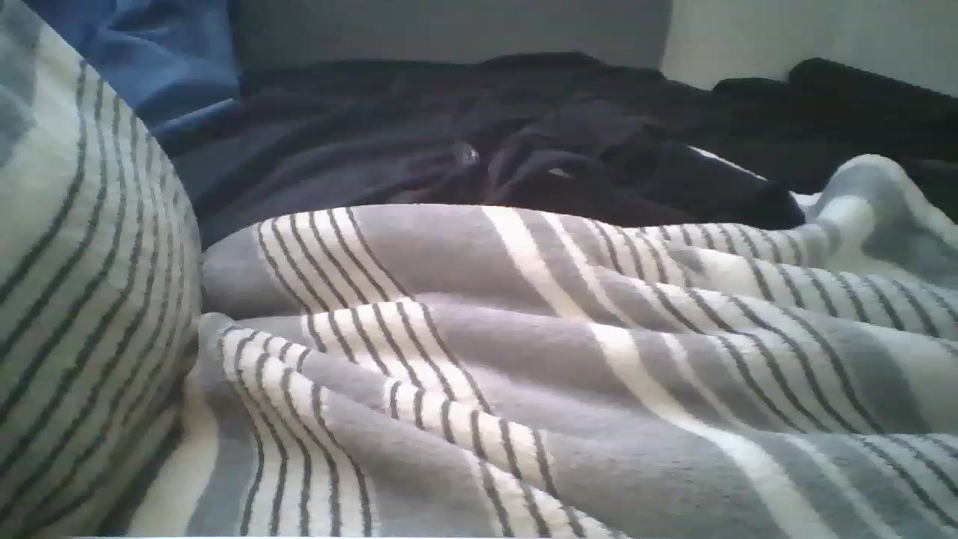 Gallery image thumbnail from Sweet_tartxo's myfreecams stream on, 07/12/2023, 15:06 image 3 of 20
