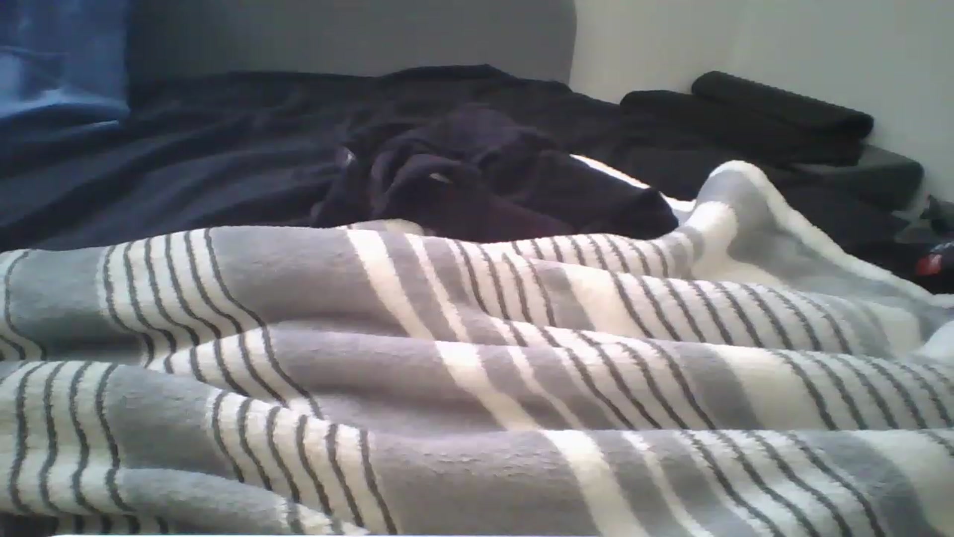 Gallery image thumbnail from Sweet_tartxo's myfreecams stream on, 07/12/2023, 15:06 image 18 of 20