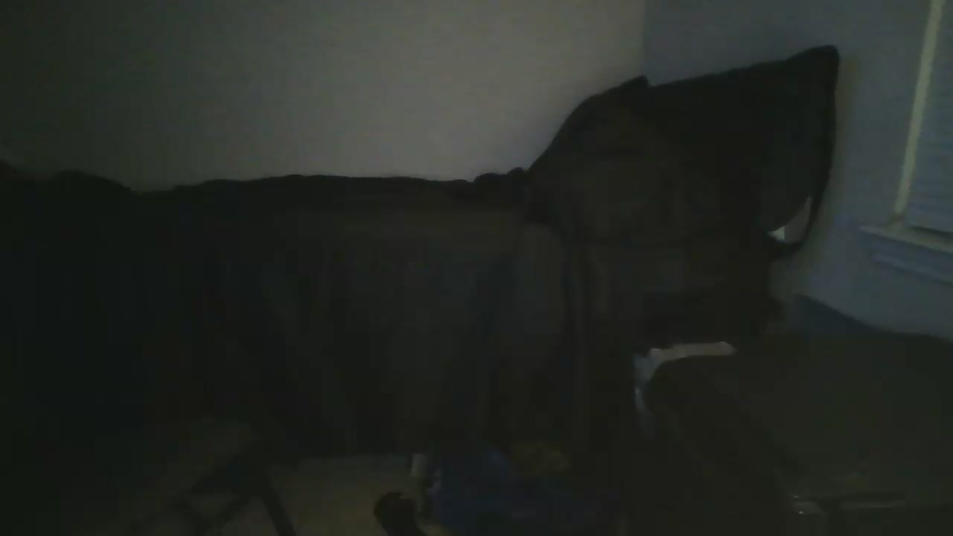Gallery image thumbnail from Sweet_tartxo's myfreecams stream on, 06/25/2026, 08:33 image 20 of 20