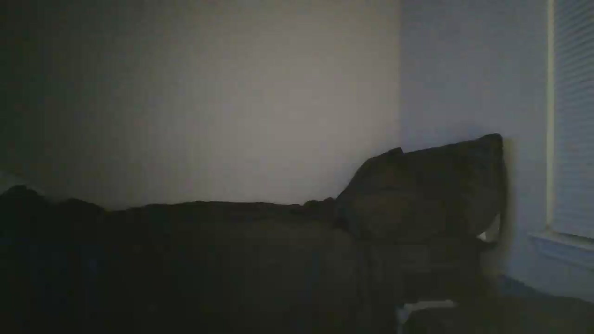 Gallery image thumbnail from Sweet_tartxo's myfreecams stream on, 06/25/2026, 08:33 image 16 of 20