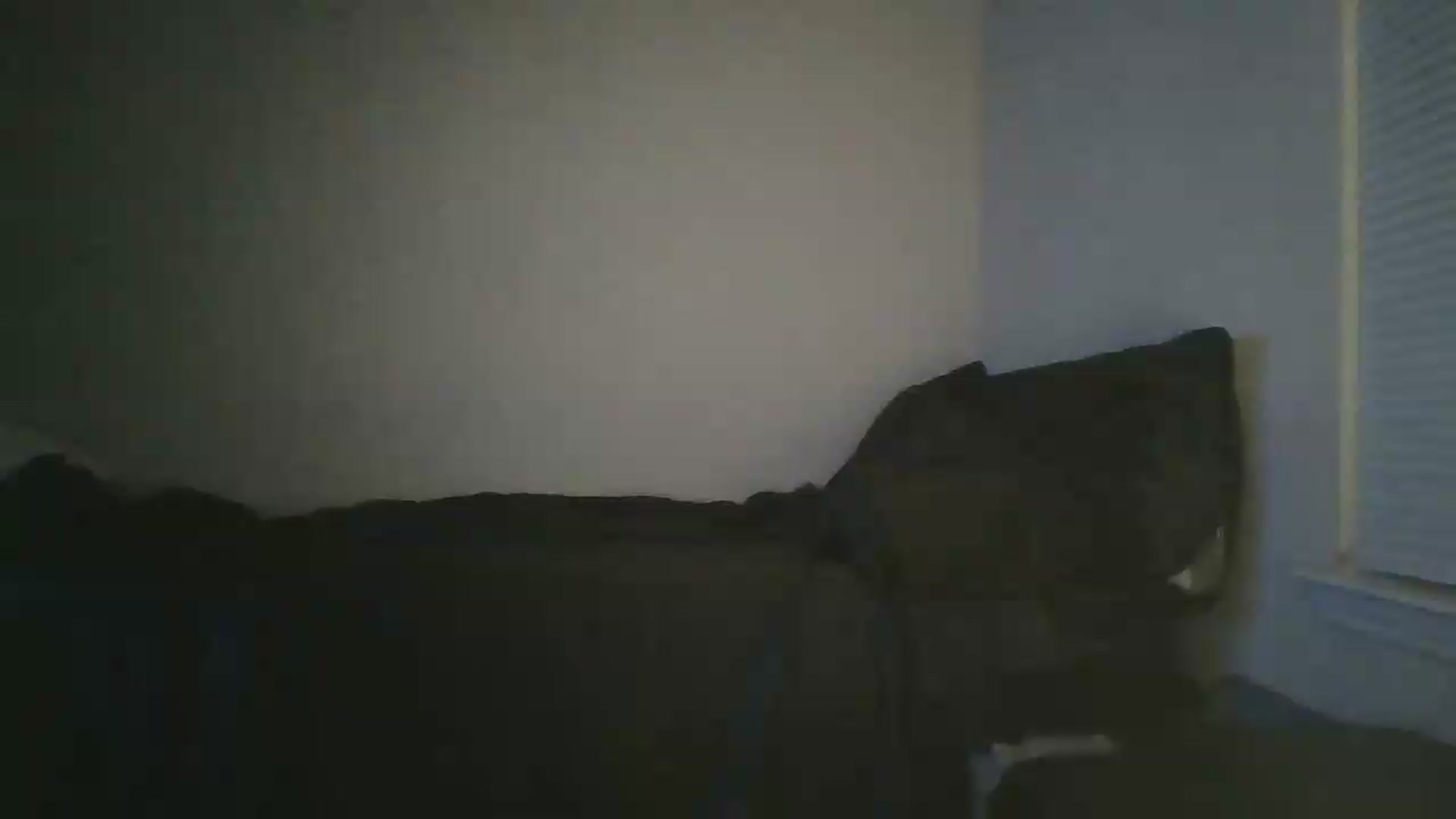 Gallery image thumbnail from Sweet_tartxo's myfreecams stream on, 06/25/2026, 08:33 image 14 of 20