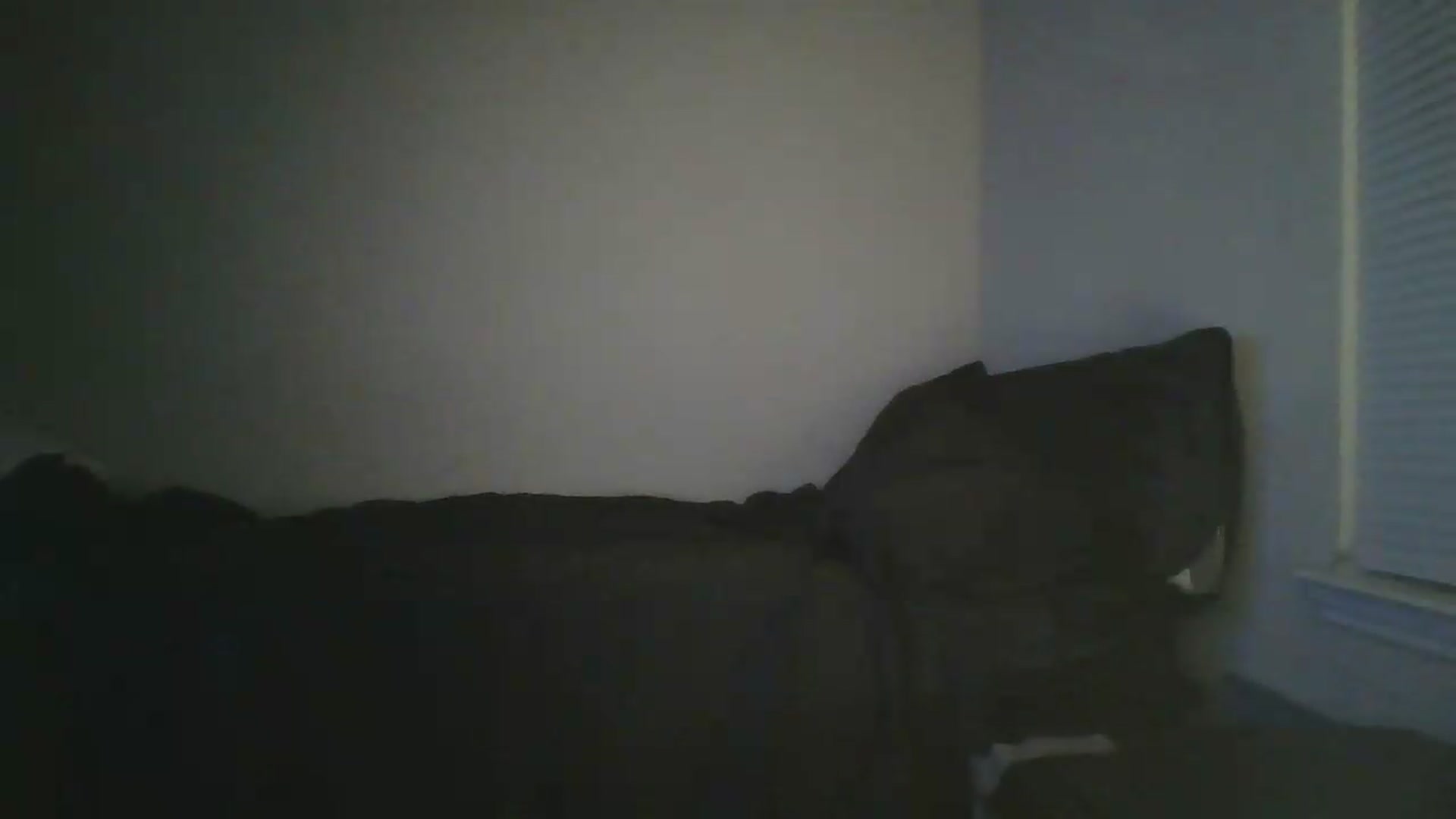 Gallery image thumbnail from Sweet_tartxo's myfreecams stream on, 06/25/2026, 08:33 image 18 of 20