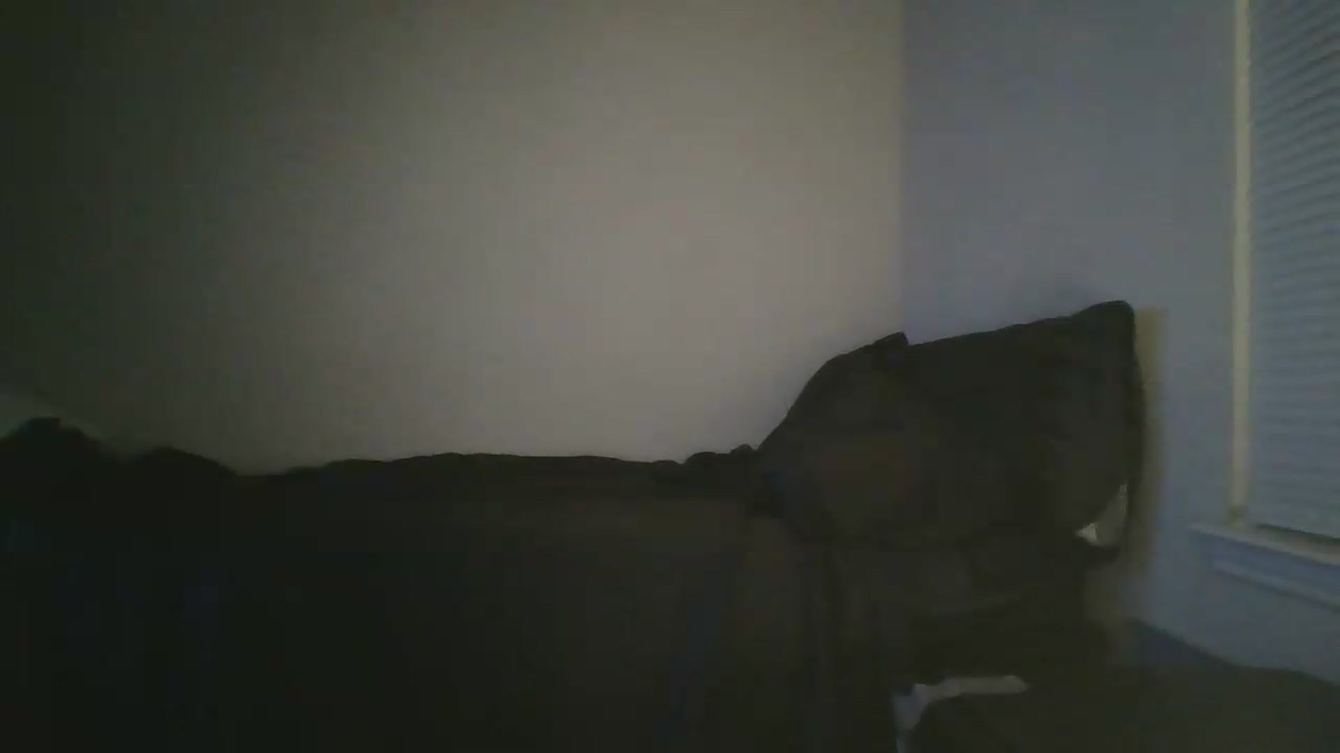 Gallery image thumbnail from Sweet_tartxo's myfreecams stream on, 06/25/2026, 08:33 image 15 of 20