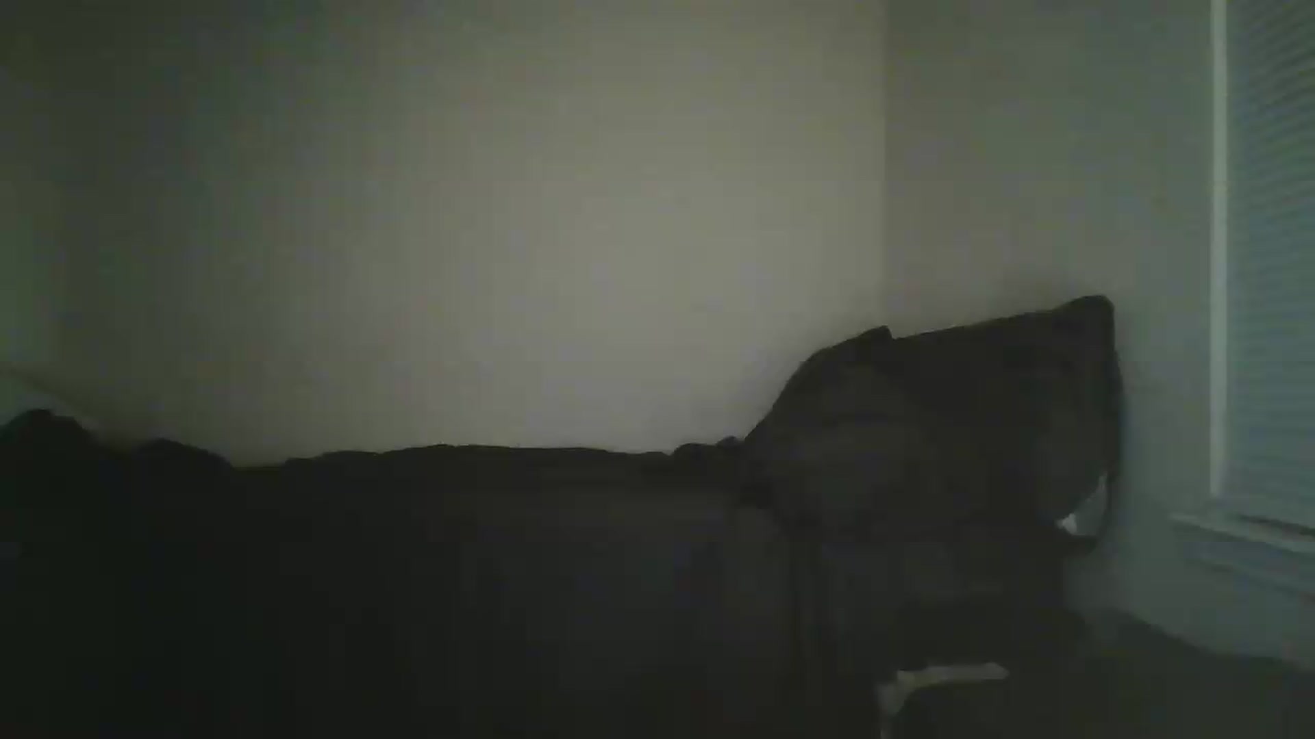 Gallery image thumbnail from Sweet_tartxo's myfreecams stream on, 06/25/2026, 08:33 image 11 of 20