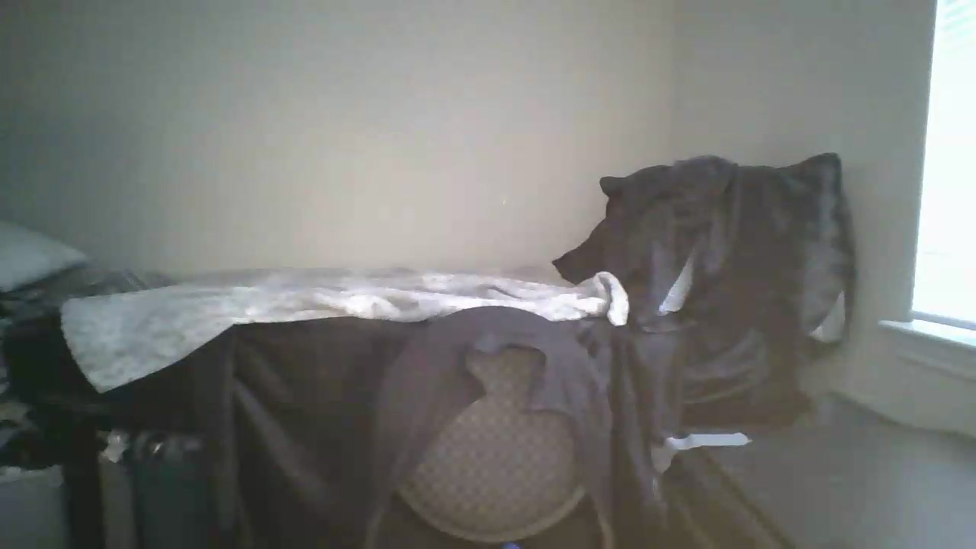 Gallery image thumbnail from Sweet_tartxo's myfreecams stream on, 06/26/2026, 11:28 image 3 of 20