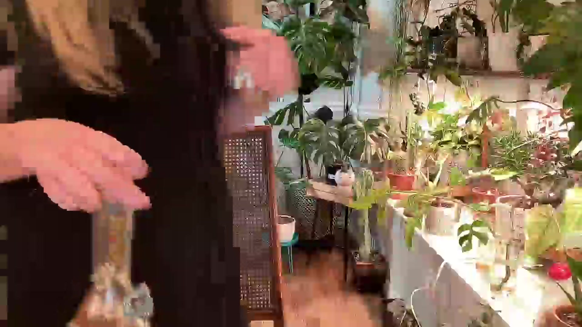 Gallery image thumbnail from SweetbratKate's myfreecams stream on, 04/29/2024, 06:03 image 8 of 20