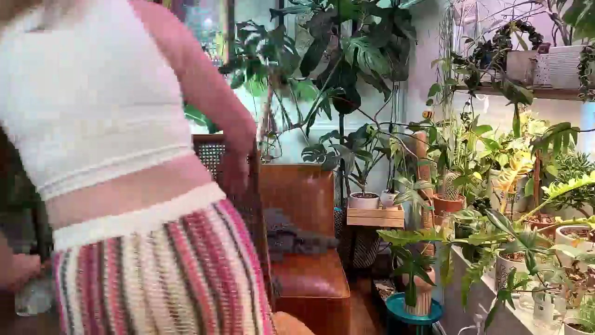 Gallery image thumbnail from SweetbratKate's myfreecams stream on, 05/28/2024, 01:38 image 9 of 20