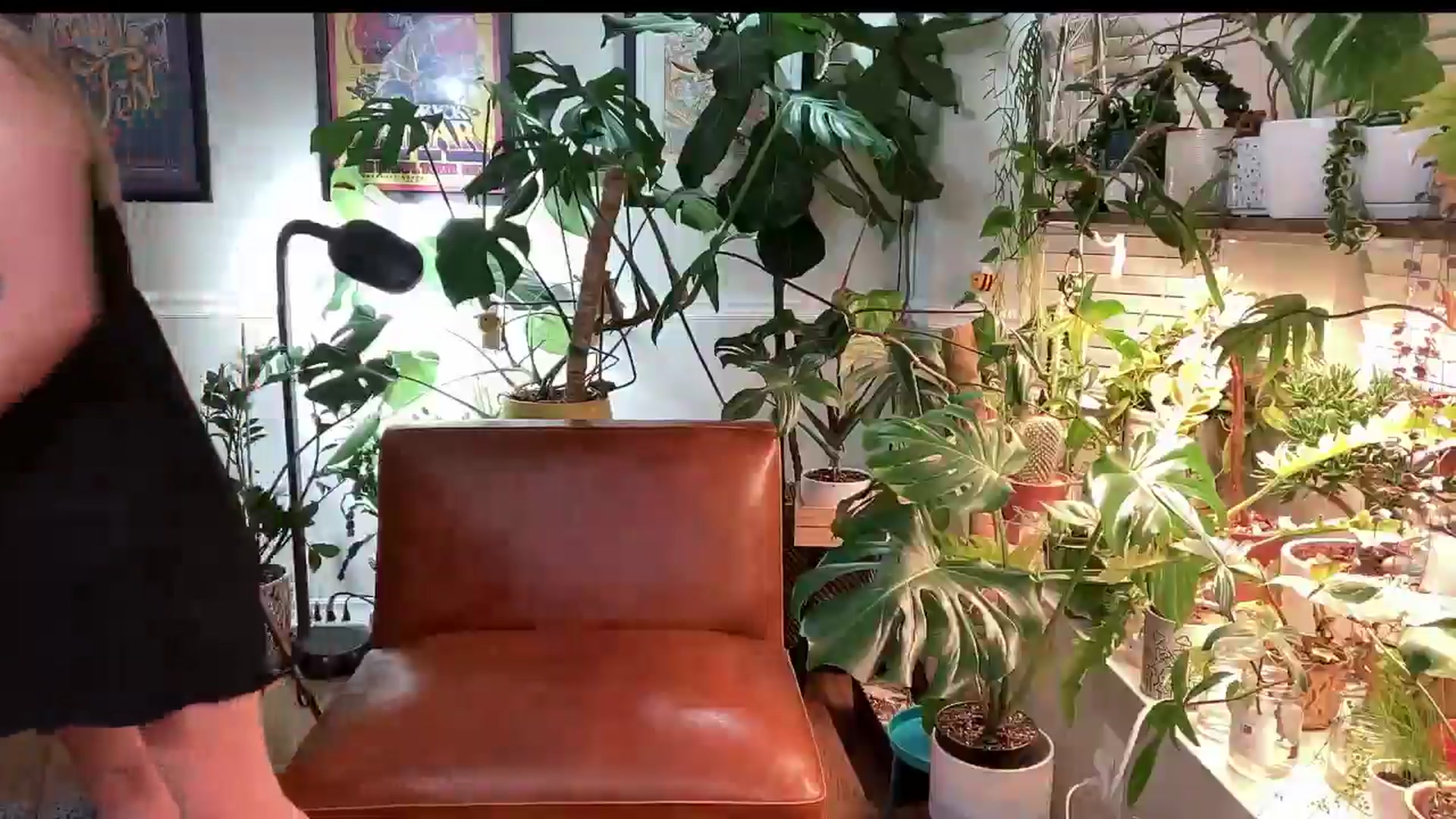 Gallery image thumbnail from SweetbratKate's myfreecams stream on, 06/02/2024, 04:43 image 12 of 20