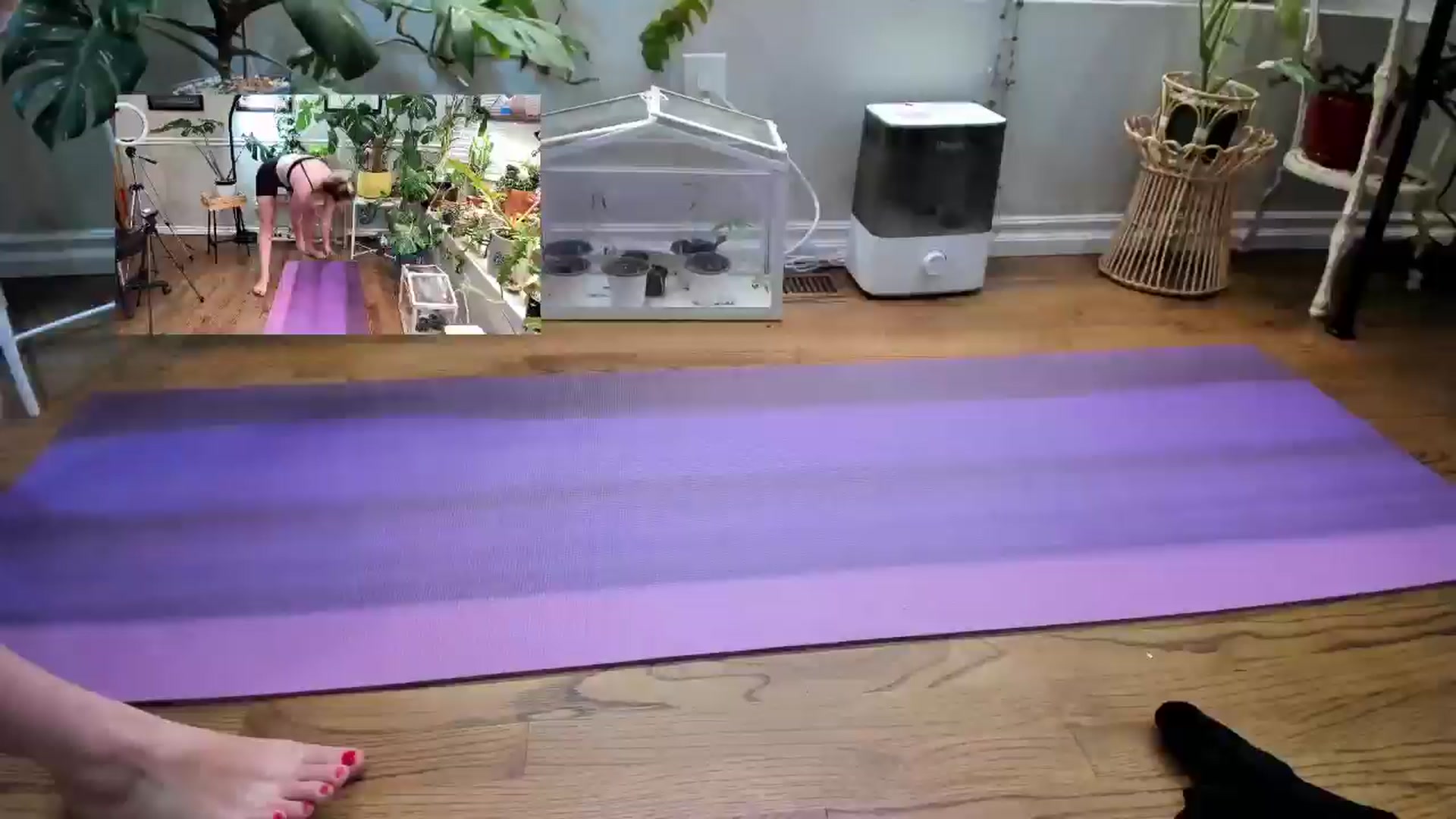 Gallery image thumbnail from SweetbratKate's myfreecams stream on, 06/25/2024, 20:50 image 18 of 20