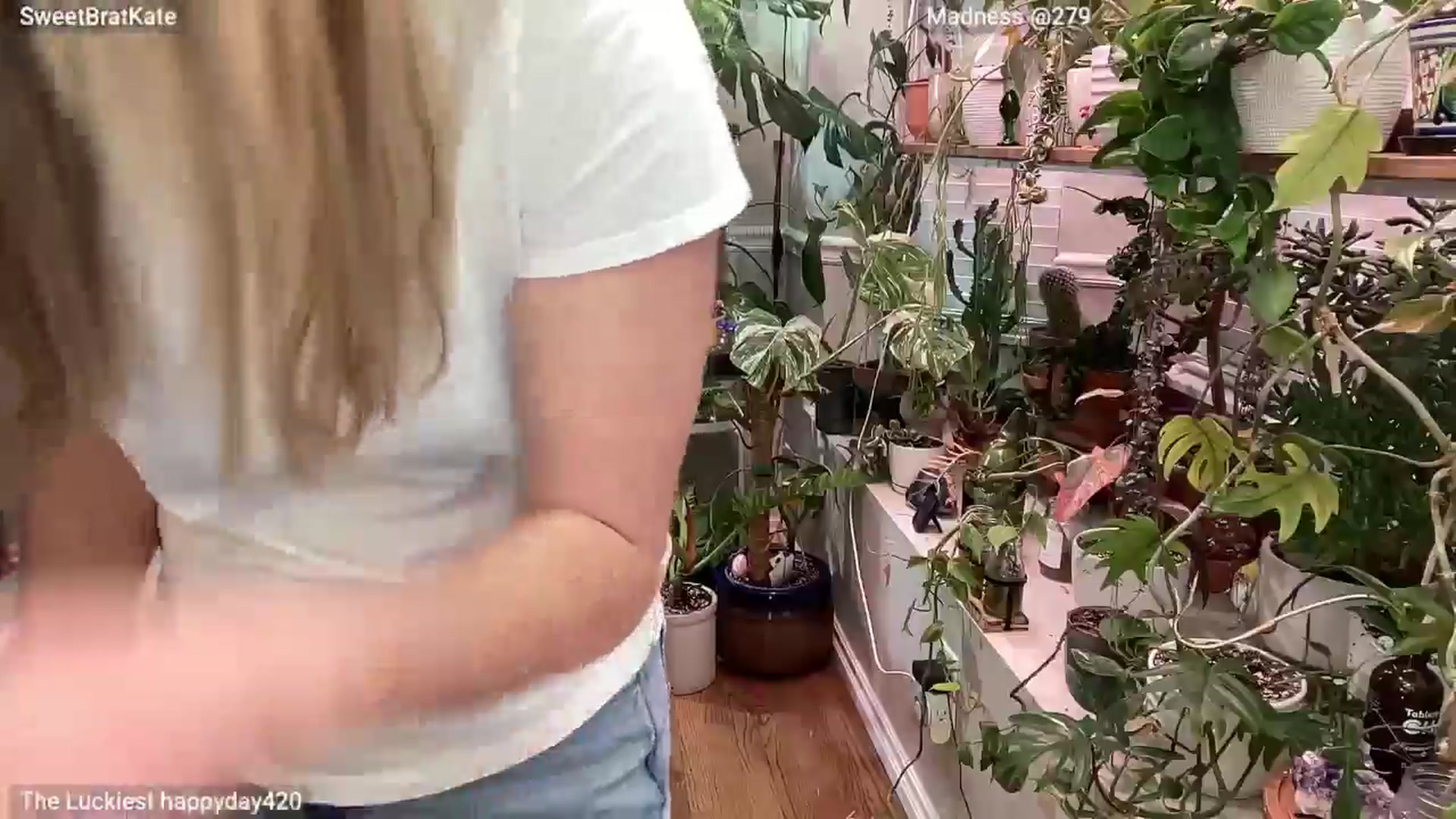 Gallery image thumbnail from SweetbratKate's myfreecams stream on, 03/21/2025, 05:17 image 14 of 20