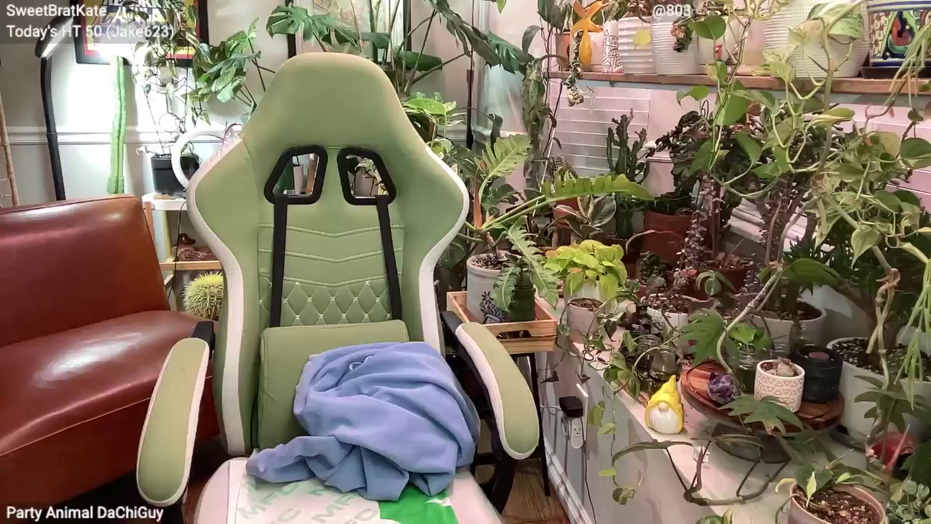 Gallery image thumbnail from SweetbratKate's myfreecams stream on, 05/26/2025, 05:06 image 19 of 20