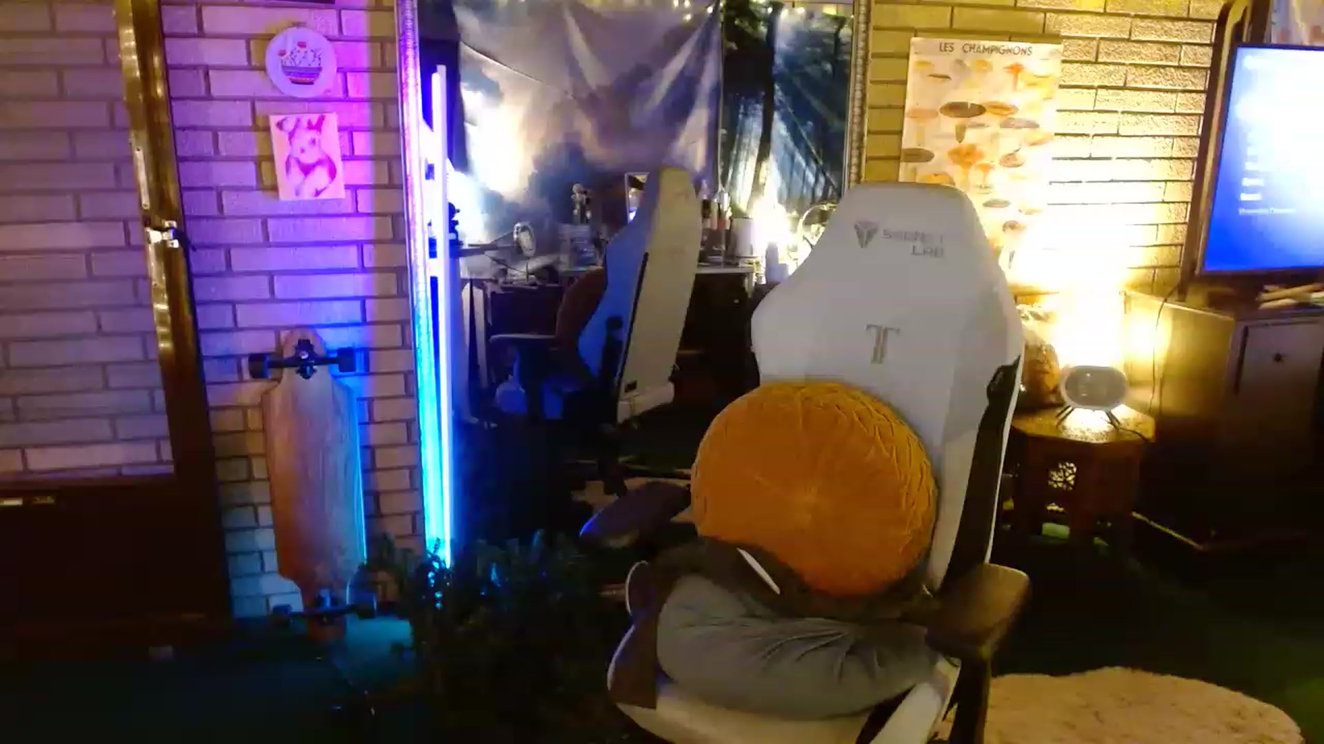 Gallery image thumbnail from Sweetestlilly's myfreecams stream on, 12/13/2022, 01:58 image 4 of 20