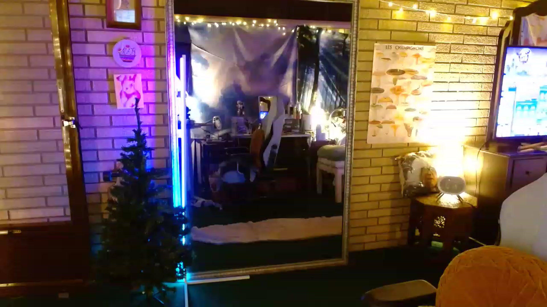 Gallery image thumbnail from Sweetestlilly's myfreecams stream on, 12/13/2022, 01:58 image 16 of 20