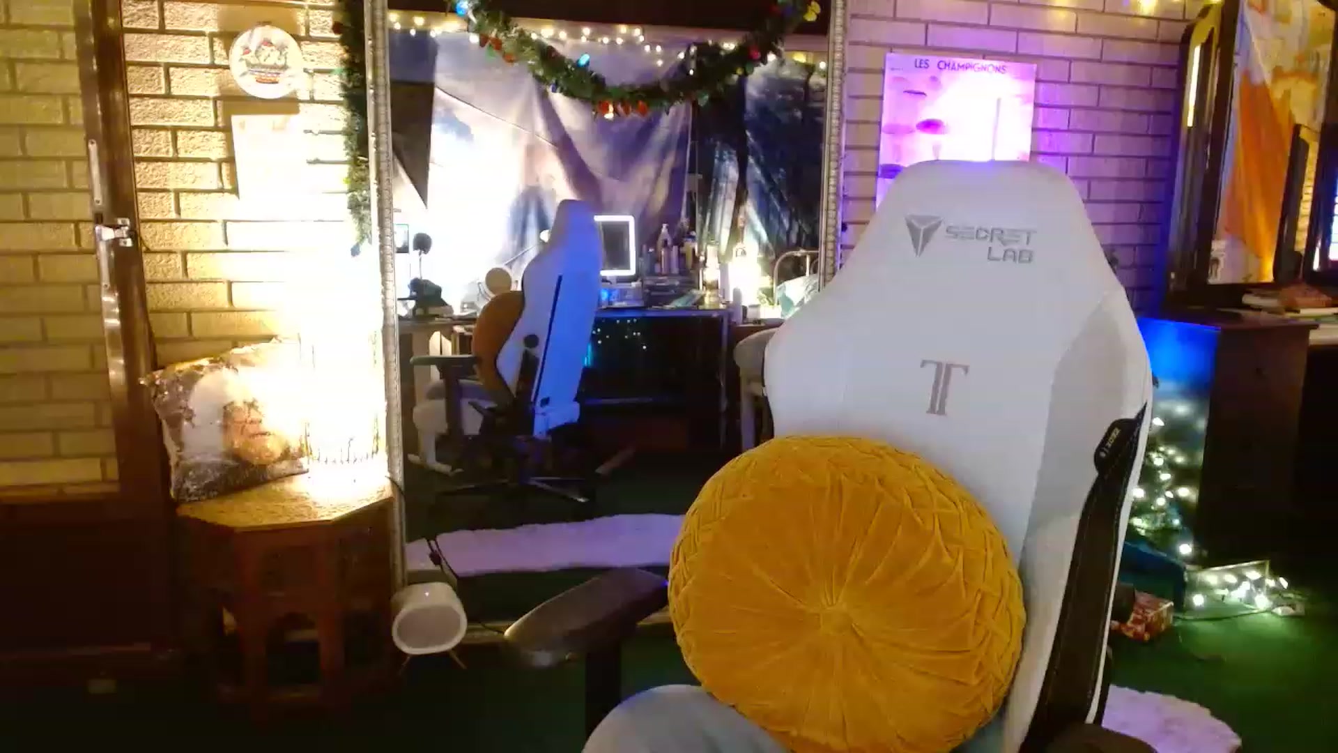 Gallery image thumbnail from Sweetestlilly's myfreecams stream on, 12/20/2022, 02:34 image 12 of 20