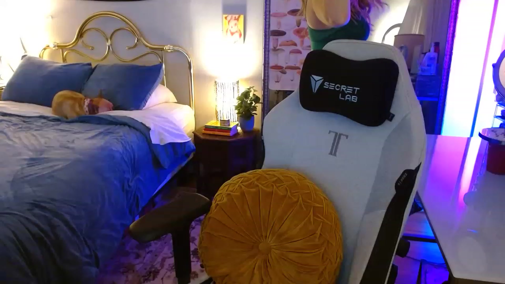 Gallery image thumbnail from Sweetestlilly's myfreecams stream on, 08/13/2023, 03:50 image 13 of 20