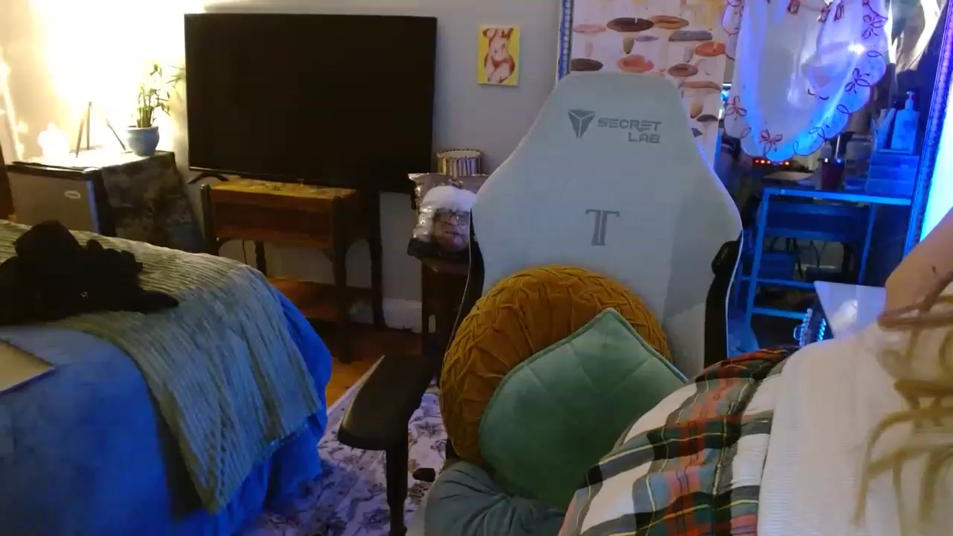 Gallery image thumbnail from Sweetestlilly's myfreecams stream on, 08/20/2023, 01:43 image 19 of 20