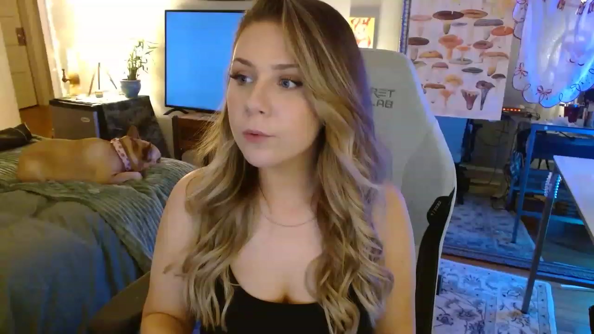 Gallery image thumbnail from Sweetestlilly's myfreecams stream on, 08/22/2023, 02:49 image 1 of 20